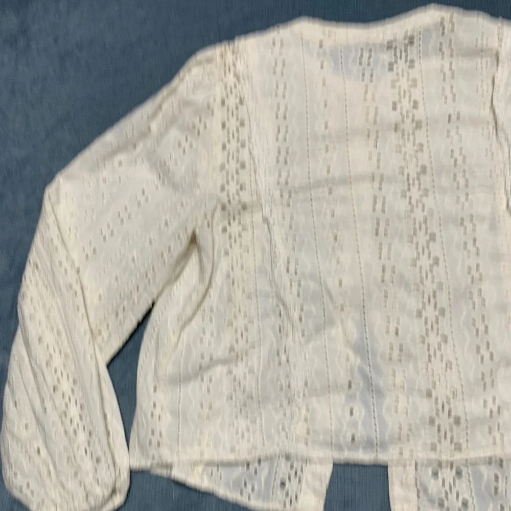 Zara Eyelet Blouse Top Womens Medium Beige Classic Balloon Sleeve Button Front